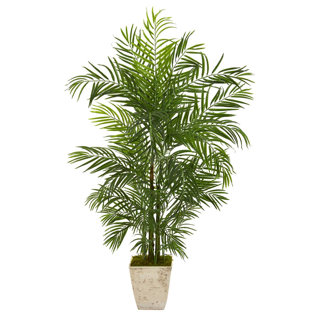 5.3ft. UV Resistant Areca Palm Tree in Country White Planter